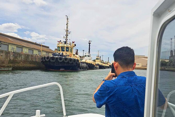 2-Hour Dolphin and Maritime Cruise in Port Adelaide - Weather, timing, and how to get the best experience