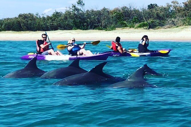 2-Hour Dolphin Kayak & Snorkel Tour on the Broadwater - Gold Coast Broadwater to Wavebreak Island: why this route feels smart