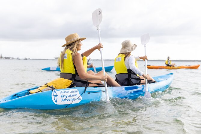 2-Hour Dolphin Kayak & Snorkel Tour on the Broadwater - Dolphins on the water: how to treat the 80% chance claim
