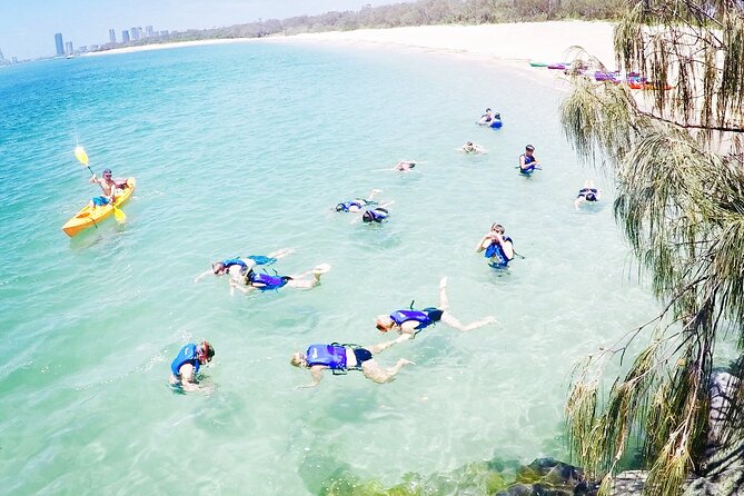 2-Hour Dolphin Kayak & Snorkel Tour on the Broadwater - Your 2-hour timeline: how to get the most out of limited time