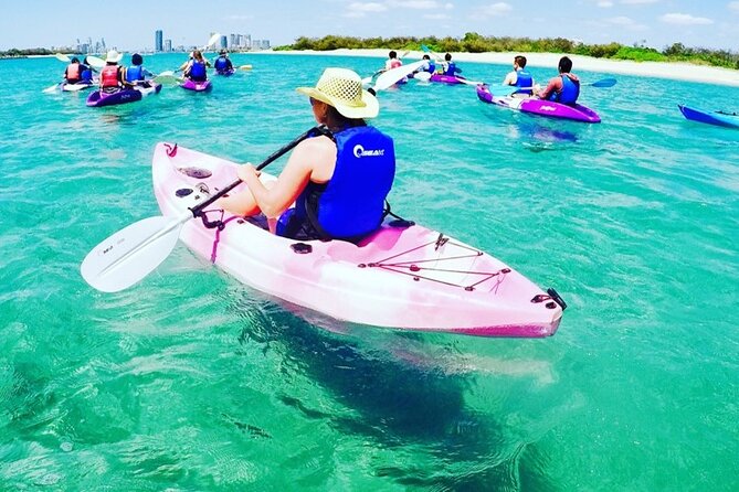 2-Hour Dolphin Kayak & Snorkel Tour on the Broadwater - Price and value at $62.40: what you’re really paying for