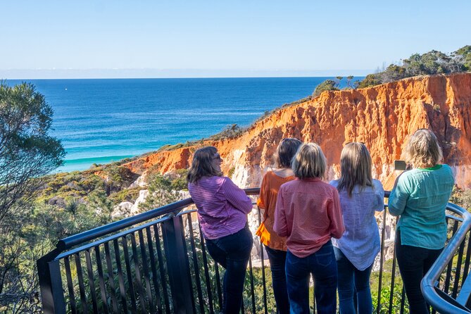 2 Hour Highlights of Eden Tour - Pinnacles Lookout and the climb that earns the photos