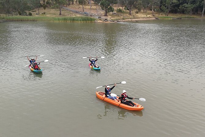 2-Hour Kayaking Experience in Barossa Valley - Single vs double kayaks: picking the right setup for your group