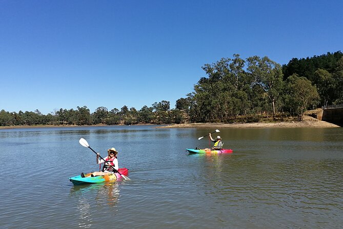 2-Hour Kayaking Experience in Barossa Valley - Starting at Warren Reservoir Reserve southern car park (B34)