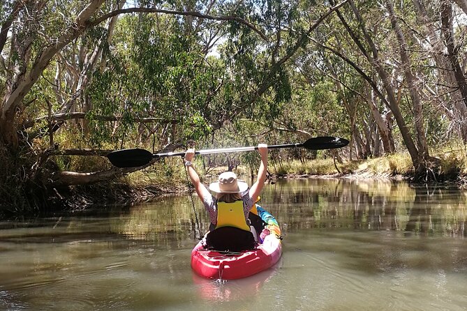 2-Hour Kayaking Experience in Barossa Valley - What’s included in the $240 kayak rental (and why it’s good value)