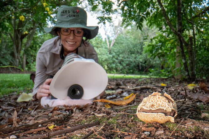 2-Hour Mushroom Photography Activity in Cairns Botanic Gardens - How the 2-Hour Mushroom Photo Walk Actually Feels