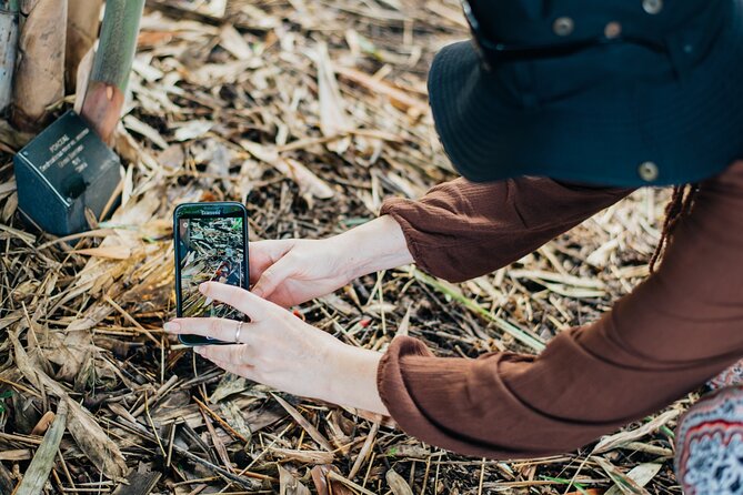 2-Hour Mushroom Photography Activity in Cairns Botanic Gardens - Group Size: Why Max 6 Travelers Matters for Your Photos
