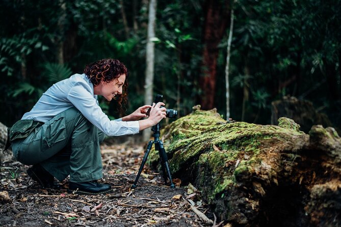 2-Hour Mushroom Photography Activity in Cairns Botanic Gardens - What Bridgette Brings to the Table (Knowledge + Shooting Direction)
