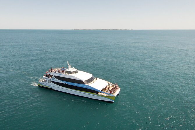 2 Hour Whale-Watching Cruise from Hillarys Boat Harbour - Key highlights worth booking for