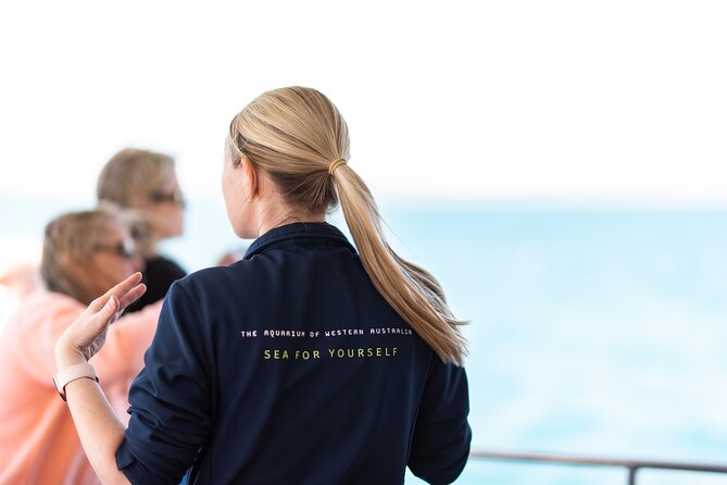 2 Hour Whale-Watching Cruise from Hillarys Boat Harbour - What you learn on board from the marine biologist