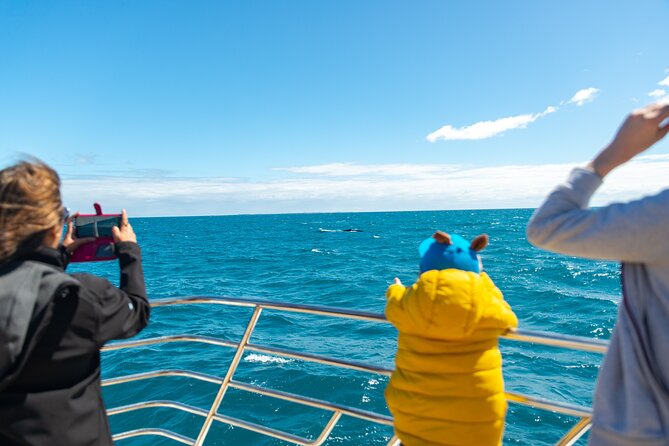 2 Hour Whale-Watching Cruise from Hillarys Boat Harbour - The harbor stop at Hillarys: a 30-minute reset