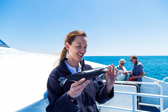2 Hour Whale-Watching Cruise from Hillarys Boat Harbour - Whale migration timing: when humpbacks and dolphins show up