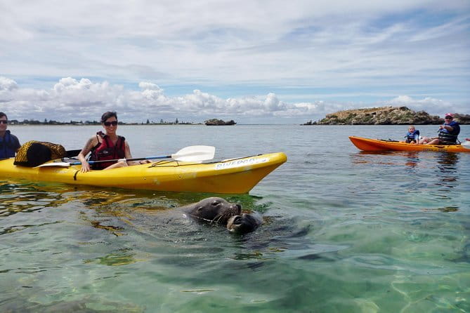 2 hour whale watching experience departing Hillarys Boat Harbour - Marine scientist commentary: what you’ll hear during the cruise