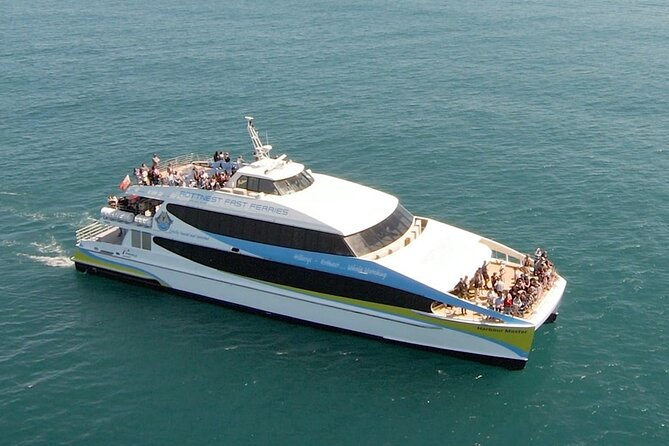 2 hour whale watching experience departing Hillarys Boat Harbour - Price and value: is €46.30 a fair deal?