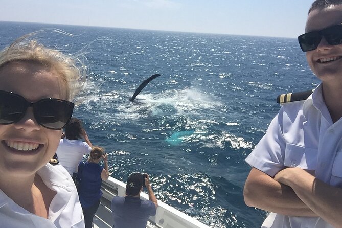2 hour whale watching experience departing Hillarys Boat Harbour - The 2-hour whale cruise: how the hunt actually works