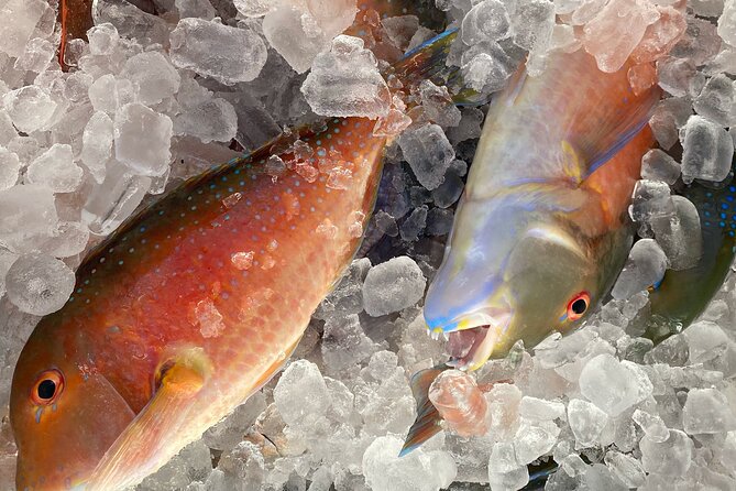 3/4 Day 7 Hour Offshore Fishing Charter - Food on board: tea breaks that actually help