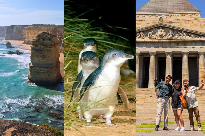 3 Day Combo: Great Ocean Road, Penguin Parade and FREE City Tour - Key things that make this tour worth a look