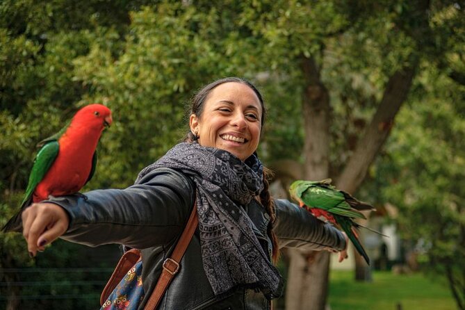 3 Day Combo: Great Ocean Road, Penguin Parade and FREE City Tour - Price and value check: $239.56 with admissions and transport bundled
