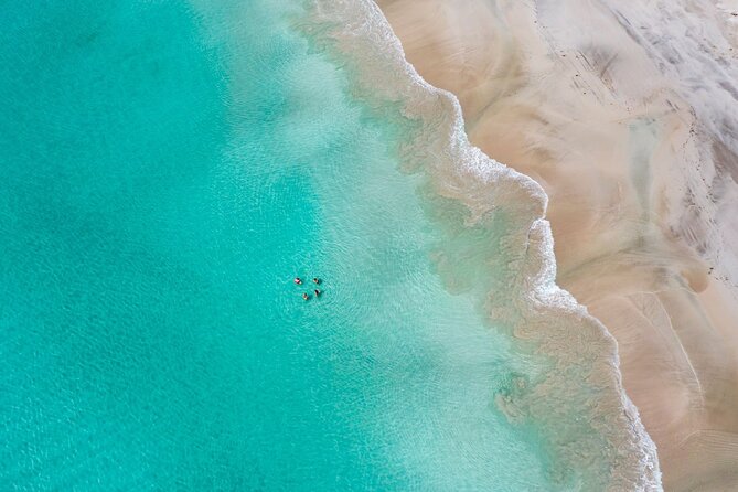 3-Day Kangaroo Island Adventure Tour - Day 2: Seal Bay and Flinders Chase do the heavy lifting