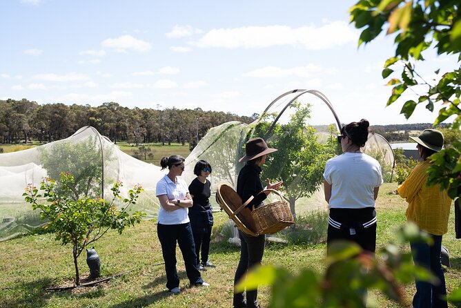 3 Day Margaret River Yoga Wellness Glamping Adventure From Perth - Price and value: what you’re paying for at $1,000.55 per person