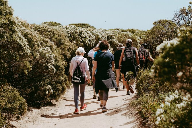 3 Day Margaret River Yoga Wellness Glamping Adventure From Perth - Who this Margaret River wellness glamping trip suits best