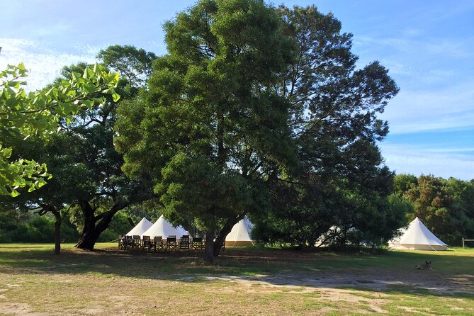 3 Day Margaret River Yoga Wellness Glamping Adventure From Perth - Should you book it?