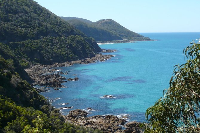 3-Day Melbourne to Adelaide Tour Including the Great Ocean Road - Day 3 Naracoorte Caves and Hahndorf: A Game-Changer Finale