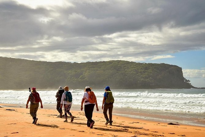 3 Day Murramarang Coast Journey from Batemans Bay with Meals and Villa Accom - Day 2: Cookies Beach Scramble, Long Durras Main Beach Stretch, and a Fun Side Moment