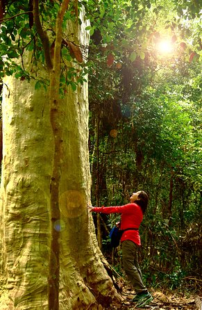 3 Day Murramarang Coast Journey from Batemans Bay with Meals and Villa Accom - Where You Sleep: National Park Beach Cabins and That Beach-Next-Door Feeling