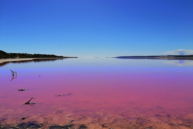 3 Day Pink Lake and Margaret River tour - Pink Lake: why the colors change and how to get better photos