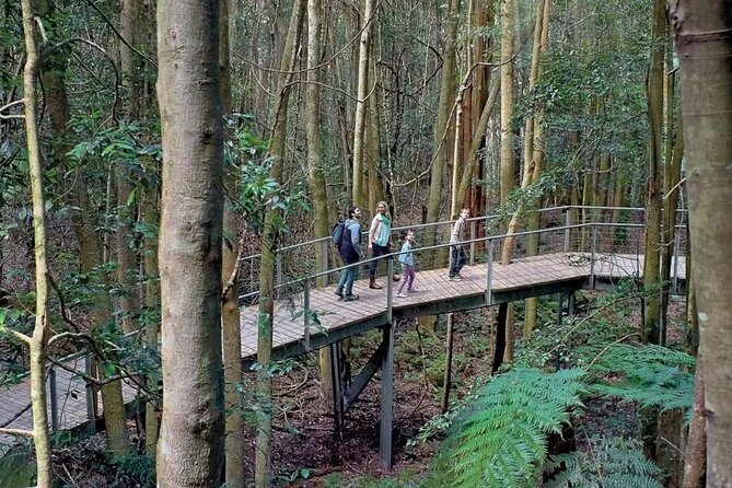 3 Day Private Tour in Blue Mountains and Kiama in Sydney City - Day 3 on the NSW South Coast: Bald Hill, Sea Cliff Bridge, Kiama Blowhole