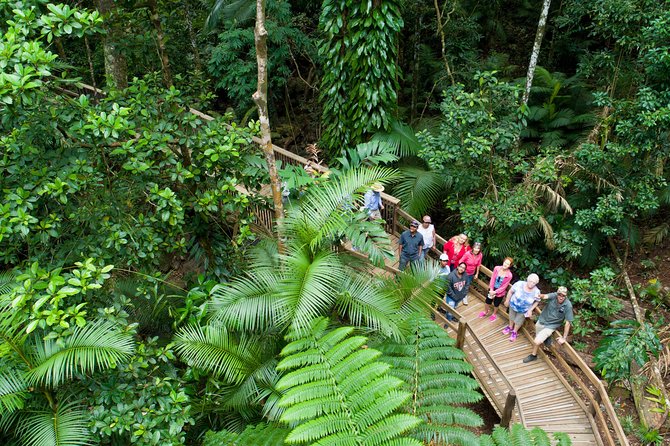 3 Day Reef Cruise, 4WD Rainforest and Outback Chillagoe Package - Key things to know before you go