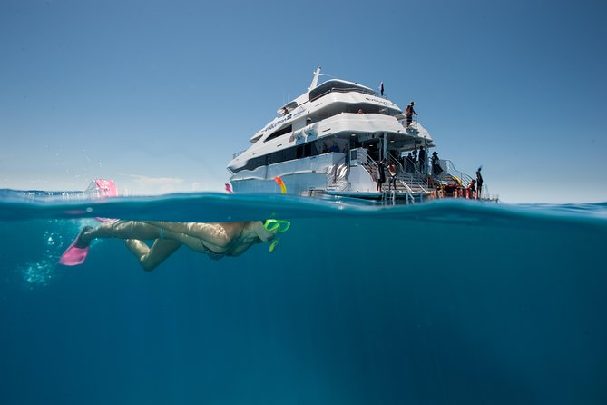 3 Day Reef Cruise, 4WD Rainforest and Outback Chillagoe Package - Three Days of Reef, 4WD Caves, and Daintree Meets the Reef