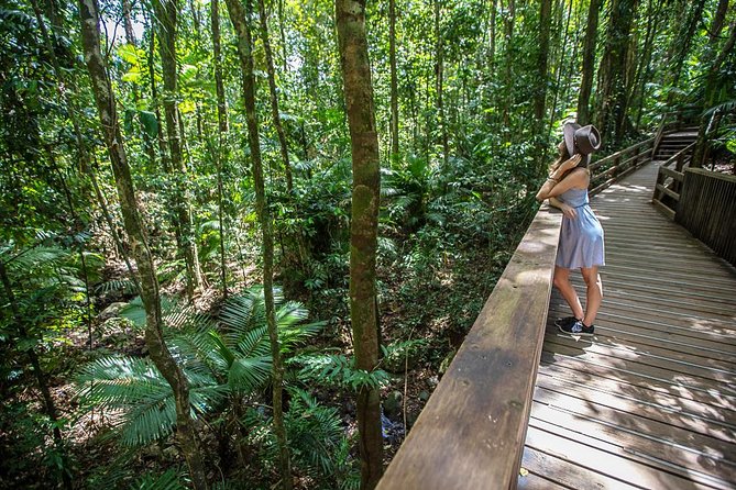 3 Day Reef Cruise, 4WD Rainforest and Outback Chillagoe Package - Daintree Rainforest Day: River Cruise, Boardwalks, and Cape Tribulation Beach