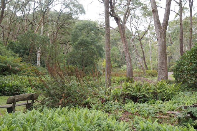 3 Day Scenic Tour of Blue Mountains from Sydney - Staying in Katoomba: the practical part of a 2-night hotel plan
