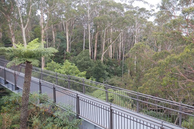 3 Day Scenic Tour of Blue Mountains from Sydney - What you’ll actually do: a realistic feel for time and walking