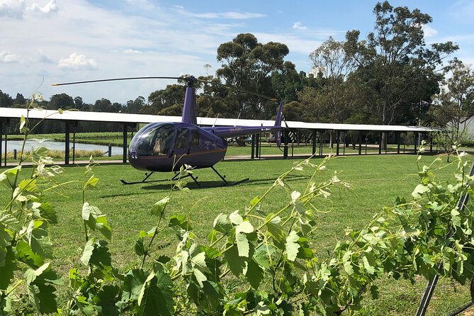 3 Hour Helicopter Wine Tasting Tour in Hunter Valley - Key things to know before you go