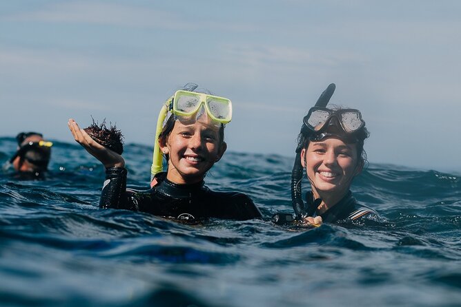 3-Hour Kayak and Snorkeling Experience in Batemans Bay - Batemans Bay by Sea Kayak: Why This 3-Hour Format Works