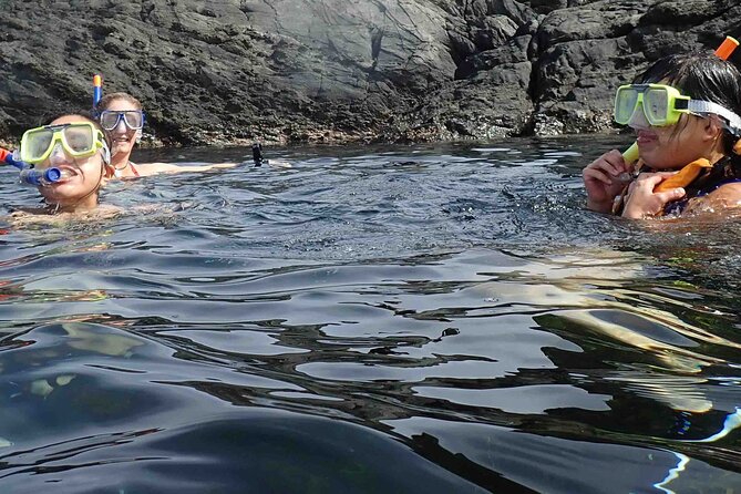 3-Hour Kayak and Snorkeling Experience in Batemans Bay - Who This Tour Fits Best (And When It Might Not)