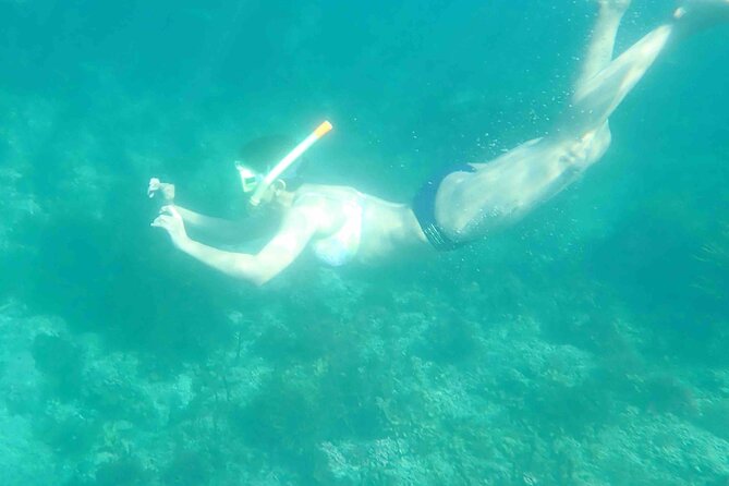 3-Hour Kayak and Snorkeling Experience in Batemans Bay - What to Bring: Simple Sun-Proofing for a 3-Hour Water Day
