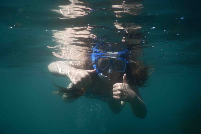 3-Hour Kayak and Snorkeling Experience in Batemans Bay - Should You Book 3-Hour Kayaking and Snorkeling in Batemans Bay?
