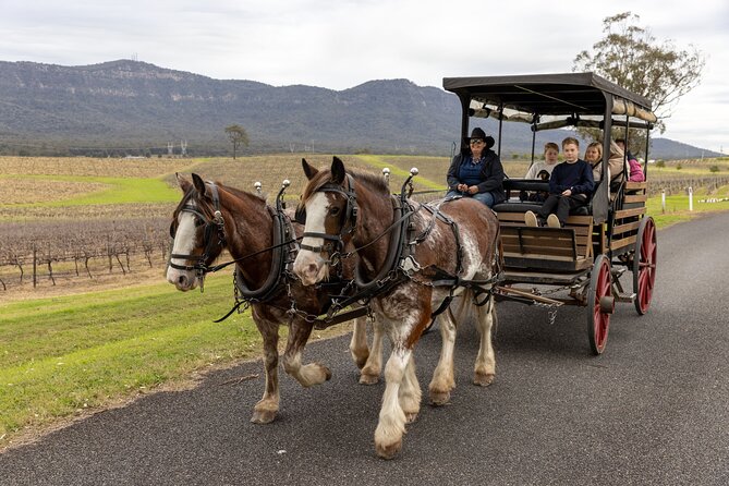 3- Hour Wine and Harvest the Hunter Horse Tour in Pokolbin - Key Highlights You’ll Actually Care About