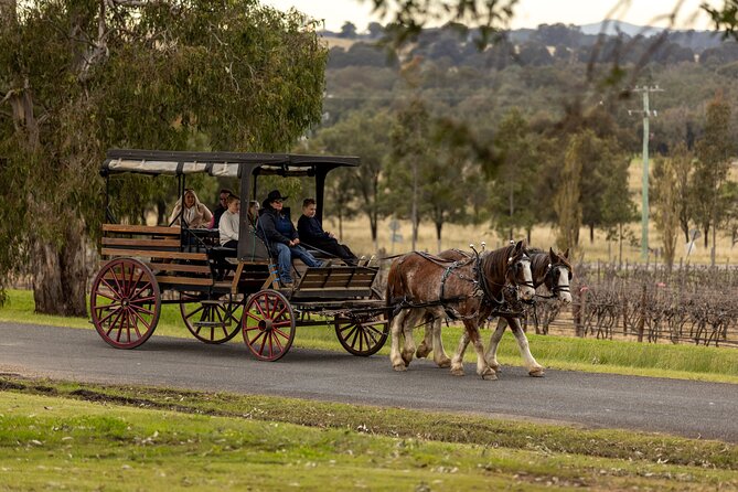 3- Hour Wine and Harvest the Hunter Horse Tour in Pokolbin - Horse and Harvest in Pokolbin: What This Tour Feels Like
