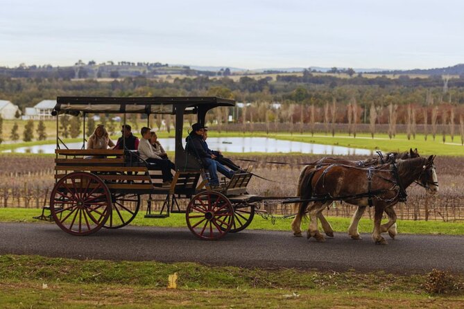 3- Hour Wine and Harvest the Hunter Horse Tour in Pokolbin - The Winery Stops: Private Tastings and Wine Choices That Fit
