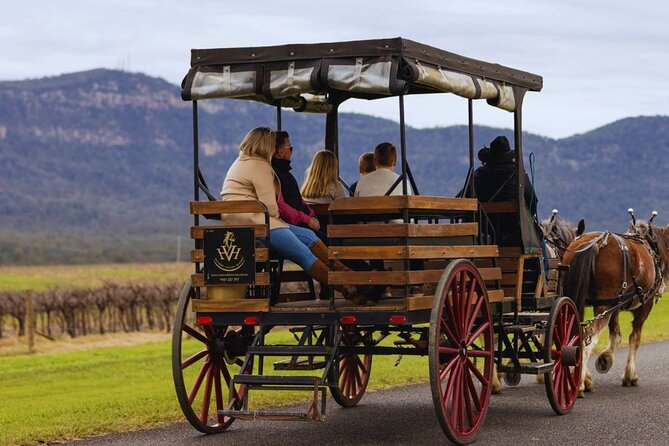 3- Hour Wine and Harvest the Hunter Horse Tour in Pokolbin - Who This Tour Fits Best (and Who Might Want Something Else)