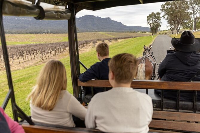 3- Hour Wine and Harvest the Hunter Horse Tour in Pokolbin - Where You Start: McDonalds Rd and the 3-Hour Rhythm