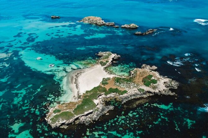 3 Island Wildlife Snorkel - Meeting at 153 Arcadia Dr and Starting at 8:00 am