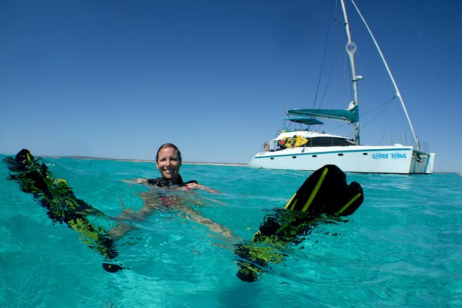 3 Night Ningaloo Reef Snorkel and Dive Getaway from Coral Bay - Day 3: snorkel and scuba sites chosen around conditions