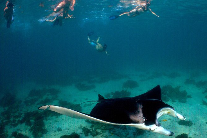 3 Night Ningaloo Reef Snorkel and Dive Getaway from Coral Bay - Gear and scuba basics: what’s provided vs what you may rent