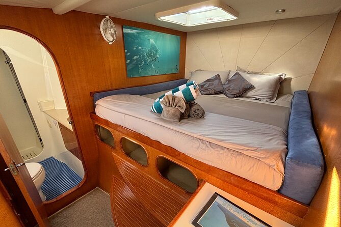 3 Night Ningaloo Reef Snorkel and Dive Getaway from Coral Bay - Small-group cruising on Ningaloo: calm water beats crowds